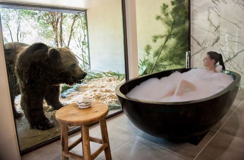 Jamala Wildlife Lodge - Accommodation Bookings 1