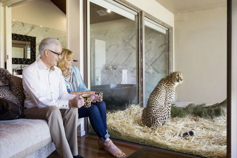 Jamala Wildlife Lodge - Accommodation Bookings 3