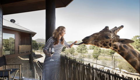 Jamala Wildlife Lodge - Accommodation Bookings 8