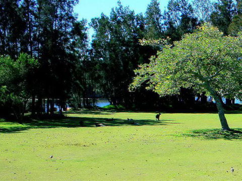 Lake Conjola Waterfront Holiday Park - Accommodation Bookings 2