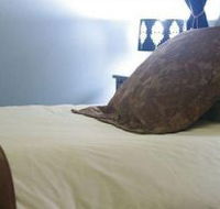 Mount Victoria Manor - Accommodation Bookings