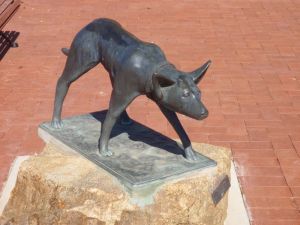 The Ardlethan Kelpie Caravan Park - Accommodation Bookings 0