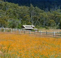 Pender Lea Alpine Guest Accommodation - Accommodation Bookings