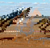 Tullamore Showground - Accommodation Bookings