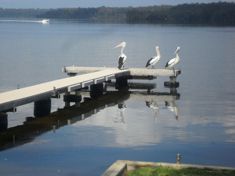 Basin View NSW Accommodation Bookings