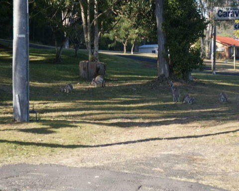 Tyndale Tourist Park & Roadhouse - Accommodation Bookings 3