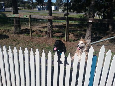 Wine Country Tourist Park - Accommodation Bookings 2