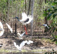 Rakhi Retreat - Accommodation Bookings