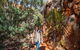 Standley Chasm Angkerle Camping - thumb 3