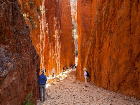 Standley Chasm Angkerle Camping - Accommodation Bookings 4
