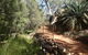 Standley Chasm Angkerle Camping - thumb 7