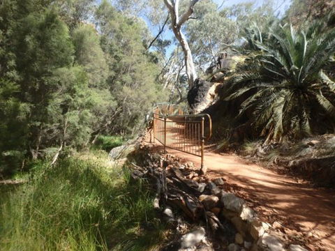 Standley Chasm Angkerle Camping - Accommodation Bookings 7
