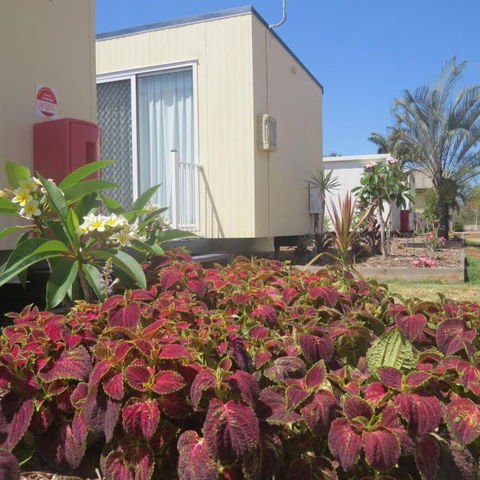 Bluewater Caravan Park - Accommodation Bookings 3