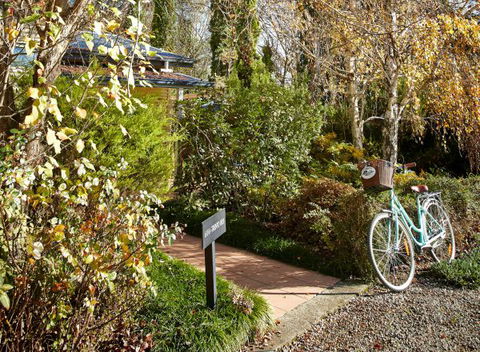 Pizzini's Vineyard Guesthouse - Accommodation Bookings 5