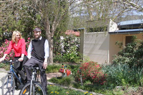 Pizzini's Vineyard Guesthouse - Accommodation Bookings 9