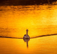 River Shack Rentals - Living the Dream - Accommodation Bookings