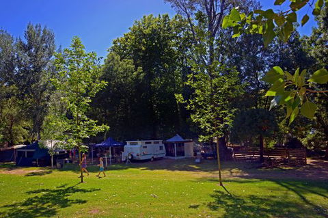 Ardern's Caravan Park, Myrtleford - Accommodation Bookings 0