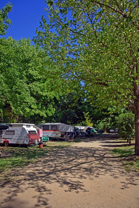 Ardern's Caravan Park, Myrtleford - Accommodation Bookings 1