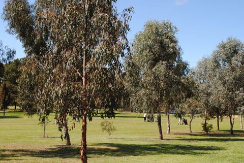 Casa Pizzini Bed And Breakfast - Accommodation Bookings 6