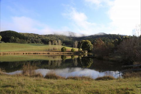 Jamieson Valley Retreat - Accommodation Bookings 0