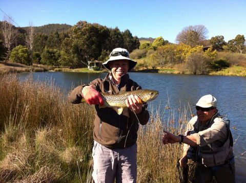 Jamieson Valley Retreat - Accommodation Bookings 1