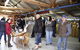 Jamieson Valley Retreat - thumb 8