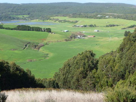 Johanna Bluegum Holiday Cabins - Accommodation Bookings 8