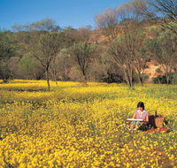 Miners Camp at Coalseam National Park - Accommodation Bookings