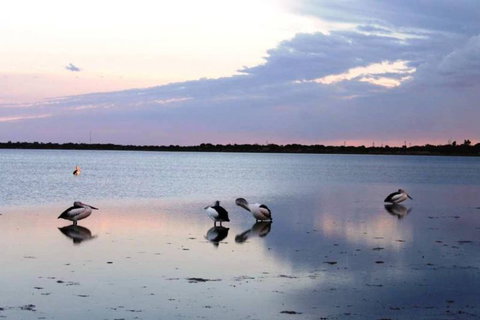 Coobowie Lodge - Accommodation Bookings 3