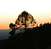 Bunya Mountains Accommodation Centre - Accommodation Bookings