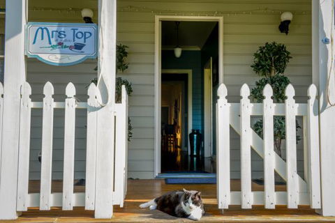 Mrs Top At Milton Bed And Breakfast - Accommodation Bookings 1