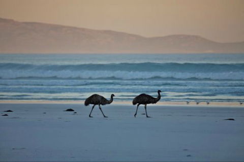 Thomas River Shire Reserve Camp At Cape Arid National Park - Accommodation Bookings 0