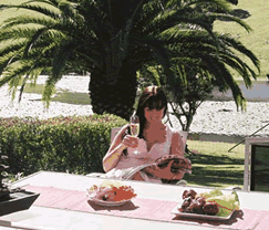 Sunny Hill Retreat Accommodation & Day Spa - thumb 4