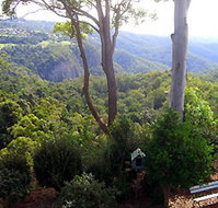 Mt Tamborine Motel - Accommodation Bookings