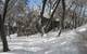 Akla Ski Lodge - thumb 0