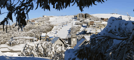 Alpine Ridge Lodge - Accommodation Bookings