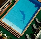 Pacific International Hotel - Accommodation Bookings