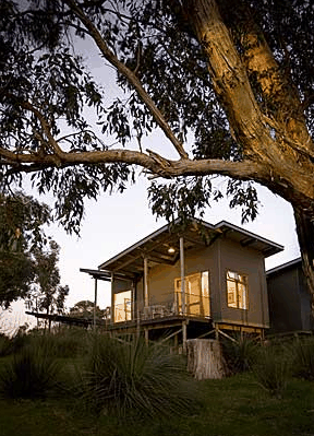 Longview Vineyard - thumb 1