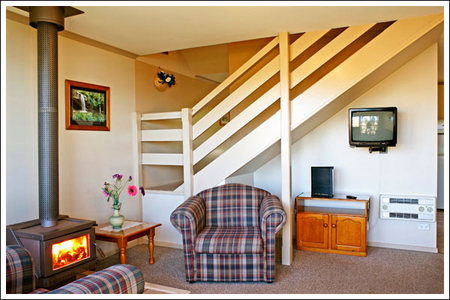 Amos House  & Swansea  Villas - Accommodation Bookings 5