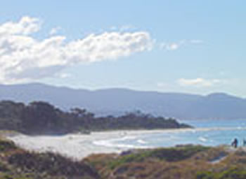 Bicheno On The Beach - Accommodation Bookings 5