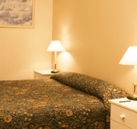 Best Western Abel Tasman Airport Motor Inn - Accommodation Bookings