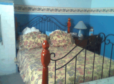 Hamilton Heritage Bed & Breakfast - Accommodation Bookings 2