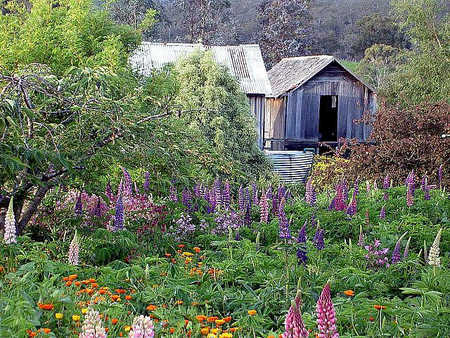 Hamlet Downs Country Accommodation - Accommodation Bookings 2