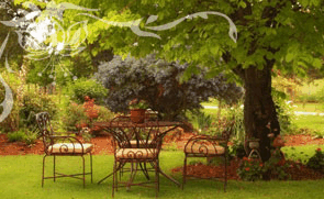 Glencoe Country Bed And Breakfast - Accommodation Bookings 1