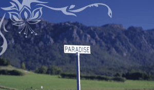 Glencoe Country Bed And Breakfast - Accommodation Bookings 2
