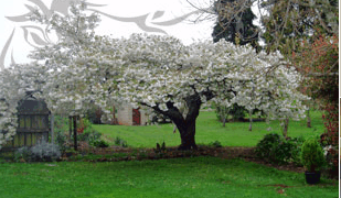 Glencoe Country Bed And Breakfast - Accommodation Bookings 3