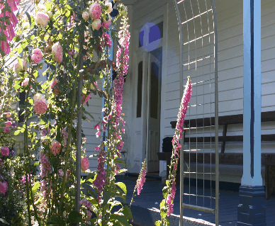 Devonport Bed And Breakfast - Accommodation Bookings