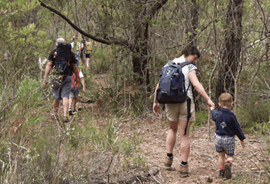 Bicheno East Coast Holiday Park - Accommodation Bookings 3