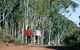 Congelin Camp At Dryandra Woodland - thumb 0