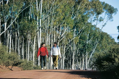 Congelin Camp At Dryandra Woodland - Accommodation Bookings 0